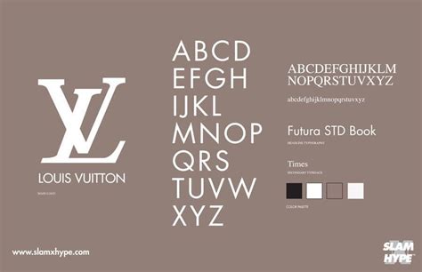 louis vuitton font type.